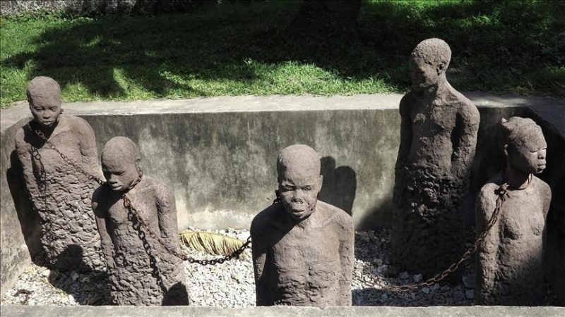 Bán mạng kiếm tiền, sống hay không sống?