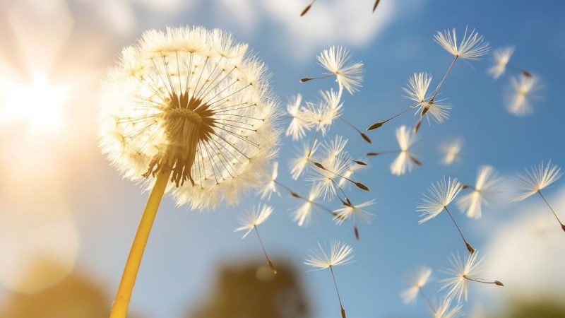 Cậu tôi, người một đời mở lối dẫn đường